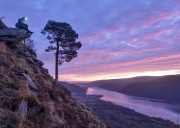 Art and landscape project places seven Cumbrian trees at centre stage in Grizedale Forest