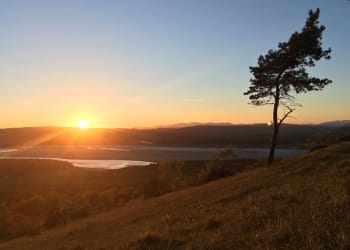 Lottery funding to help preserve Morecambe Bay natural history