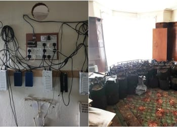 Major cannabis farm found in Morecambe