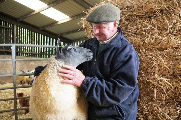 Artist's farming project - cumbriacrack.com