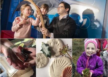 Popular nature weekend returns to Tullie House Museum