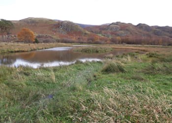 Keswick £735,000 natural flood management work underway