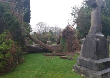 Cemetery clean-up underway after storm damage
