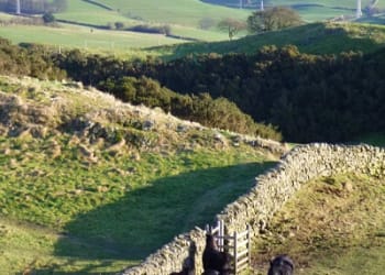 Explore a local landmark as part of new Kendal festival