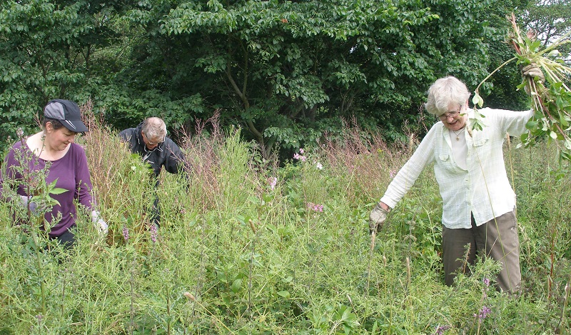 Volunteers Week Call to Fight the Aliens - cumbriacrack.com