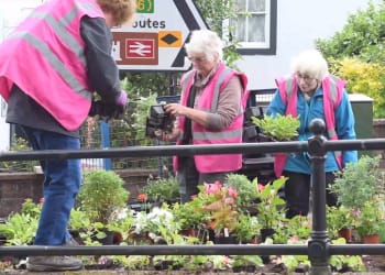 WATCH: Penrith blooms in 2020 despite COVID-19