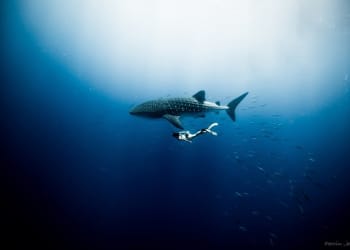 Ocean Film Festival World Tour comes to Keswick this Autumn