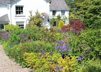 Discover Kendal’s wild side