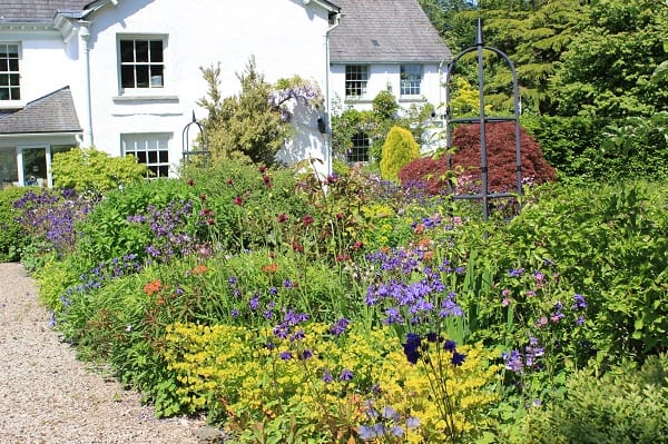 Plumgarths wildlife garden in full bloom at Cumbria Wildlife Trust’s head office.