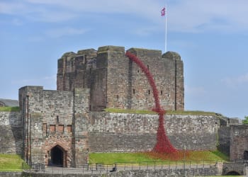 Iconic poppy sculpture Weeping Window opens in Carlisle