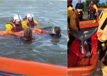 WATCH: Stranded porpoise rescued in Morecambe Bay