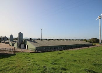 Cumbrian Poultry Unit Offers A Cracking Business Opportunity