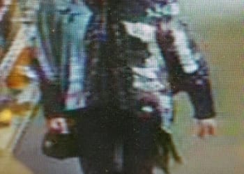 Police appeal after Carlisle purse theft