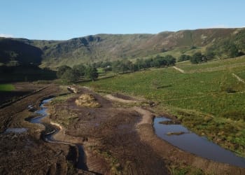 More Wetlands and Wiggles for Haweswater