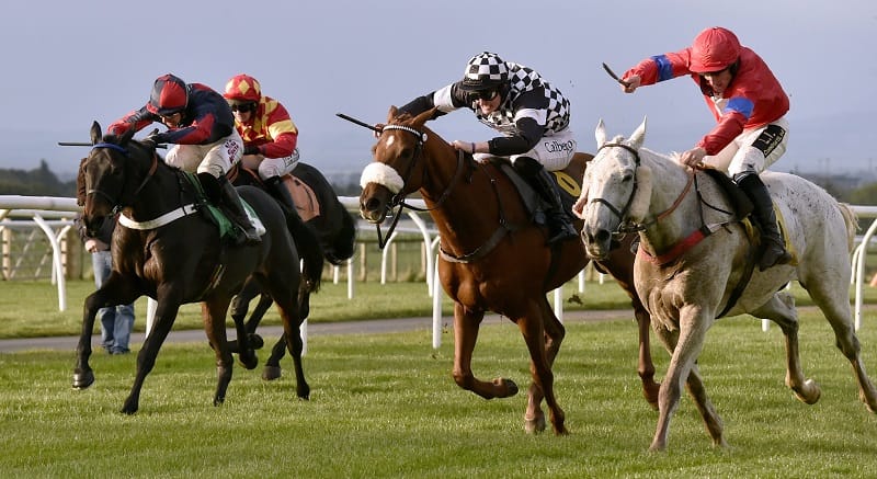 Racing at Carlisle Racecourse