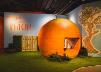 Roald Dahl’s Wondrous World at Rheged