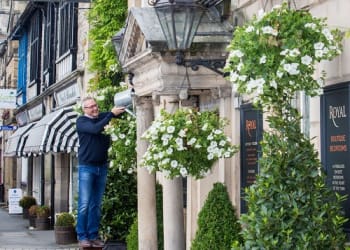 Special award for blooming lovely Royal