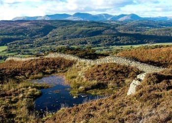 Cumbria confirmed as pilot to help recover England’s nature and wildlife
