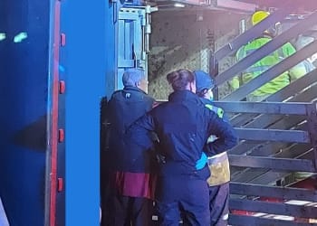 Kind hearted Special Constable hailed a hero after saving livestock from overturned lorry
