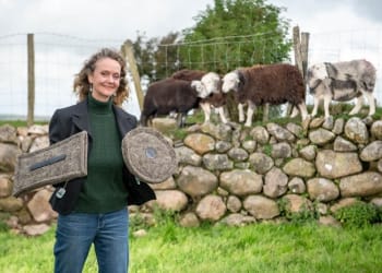 Chimney Sheep® draught-excluder is granted a patent
