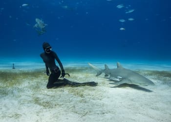 Ocean Film Festival World Tour comes to Keswick this Autumn