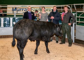 Penrith Spring Special 2018