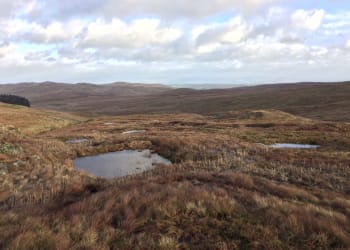£249,500 boost for Cumbria Wildlife Trust