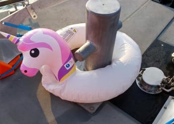 Unicorn rescued after lifeboat search