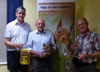 Red alert as squirrel group tackles Silverdale’s greys