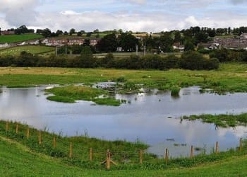 Appeal after criminal damage in Penrith