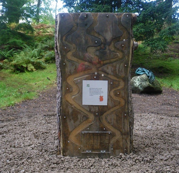 Interactive coin run installed at Aira Force to help fund red