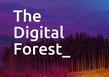 The Digital Forest – a new commission to connect audiences with nature through digital art