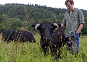 The Horned Beef Company Ltd shortlisted for the British Farming Awards 2017