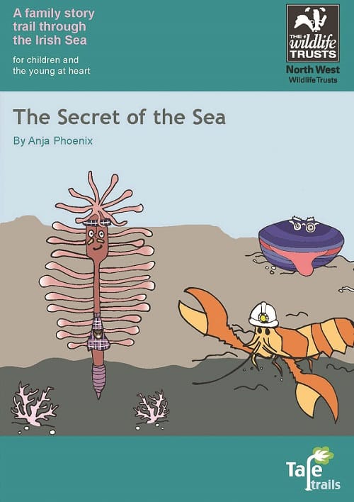 The Secret Sea cover only