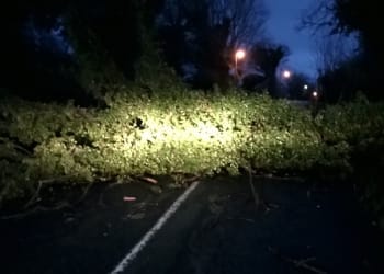 County council responds to Storm Eleanor