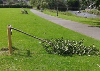Trees damaged at popular Kendal park