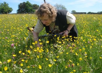 Can you help survey the grasslands of Westmorland?