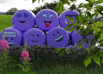 Farmers urged to go purple to support UK children’s charity