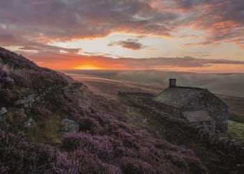 South Tyne Valley conservationist’s wildlife recovery celebrated in new national study