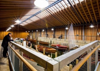 First anniversary celebrates iconic design and spirit of adventure at Windermere Jetty