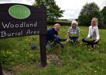 Wild flower planting to enhance Alston Cemetery Woodland Burial Area