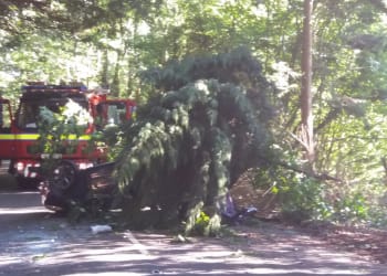 Four hurt in Newby Bridge crash