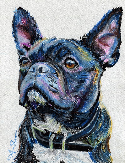 Alfie the French Bulldog is on display in London