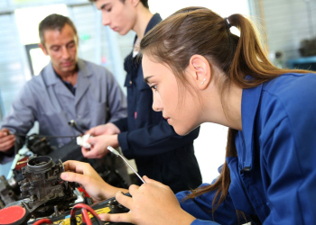 Find out how an apprentice can help your business