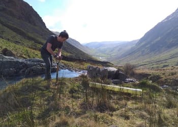 National Tree Week with a difference