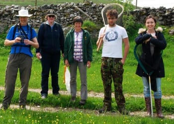 Bee walk volunteers needed