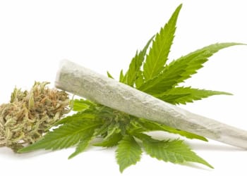 Four charged in relation to supplying cannabis in Penrith