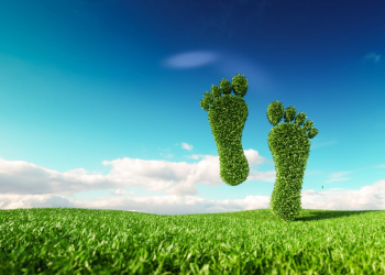 New £400,000 fund to help firms reduce their carbon footprint