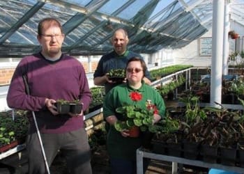 Blooming Marvellous summer plant sale