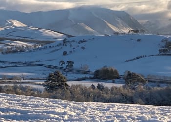 Let it snow! More of your winter pictures